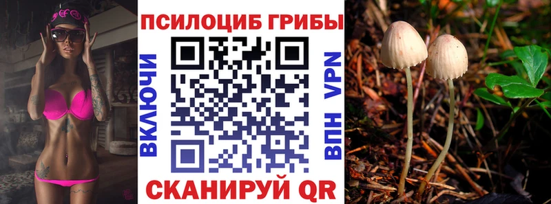 Псилоцибиновые грибы GOLDEN TEACHER  Ярцево 